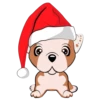 Puppy 19