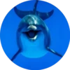 Delfines ✺1🇻🇪 22