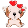 Puppy 21