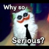Cats Feelings 19