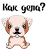 Puppy 22