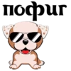 Puppy 23