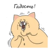 Sad Fat Cat 24