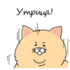 Sad Fat Cat 25