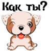 Puppy 24