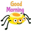 🐛 MoRnInG InSeCt 🐝 21