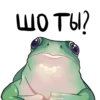 Frogus29 26