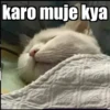 Cats Feelings 26