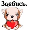 Puppy 25