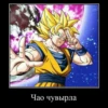 DRAGON CHUVRIKI 24