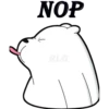 NOP
기
RLG