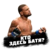 PRO MMA STICKERS 17