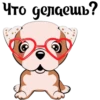 Puppy 27