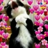 💗 HeArT ReAcTiOn 💗 28