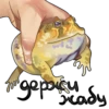 Frogus29 28