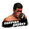 PRO MMA STICKERS 18