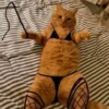 🐈 GaToS RaNdOm 🐈 27