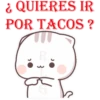Gatitos Chidos RLG 26