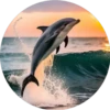 Delfines ✺1🇻🇪 29