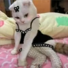 🐈 GaToS RaNdOm 🐈 28