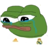 Real Madrid 29
