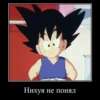 DRAGON CHUVRIKI 28