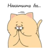 Sad Fat Cat 30