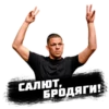 PRO MMA STICKERS 19