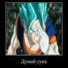 DRAGON CHUVRIKI 30