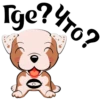 Puppy 29