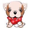 Puppy 30