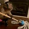 🐒 ChAnGuItOS RaNdOm 🐵 5