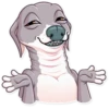 Kermit The Dog 5