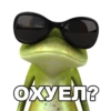 froggy_missfits 5