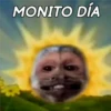 🐒 ChAnGuItOS RaNdOm 🐵 7