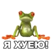 froggy_missfits 8