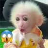 🐒 ChAnGuItOS RaNdOm 🐵 9