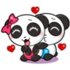 Panditas enamorados 🫧🐼 7