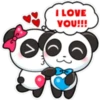Panditas enamorados 🫧🐼 8