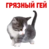 Kittens 12