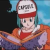 DragonBall Posting 11