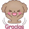Hello, Choco 8