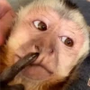 🐒 ChAnGuItOS RaNdOm 🐵 11