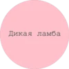New 13