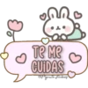 🍭Mensajitos de conejos🍭 13