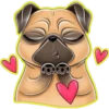 Perritos bonitos💞3🇵🇪Clásica 8