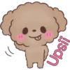 Hello, Choco 10