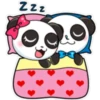 Panditas enamorados 🫧🐼 10