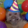 🐒 ChAnGuItOS RaNdOm 🐵 13