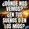 Frases Bunnytas 11